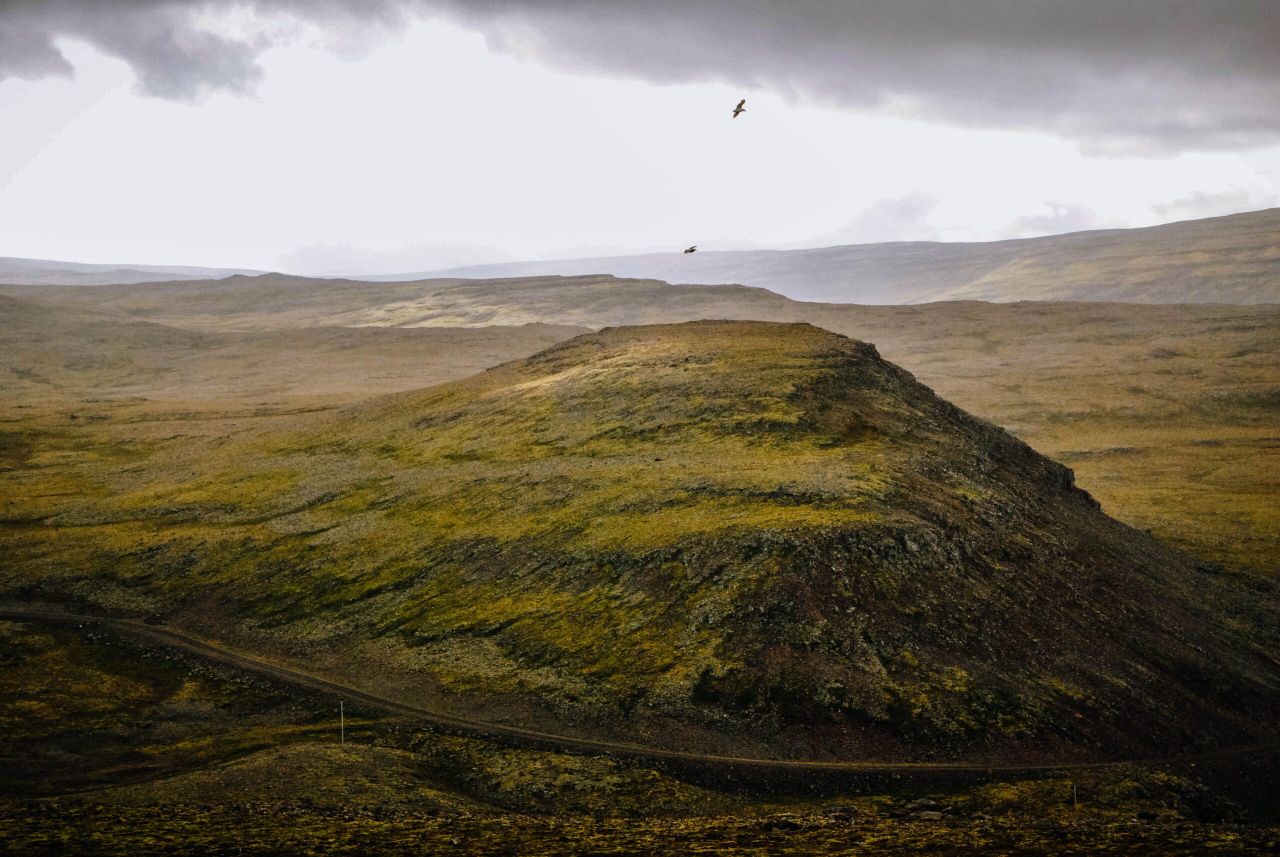 RSPB apologises for calling PM and Thérèse Coffey 'liars'