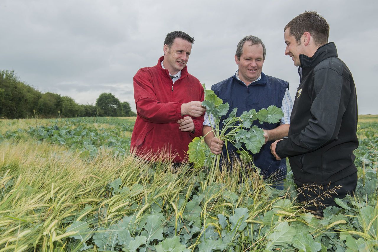 Tipperary co-op prepares for winter forage storage