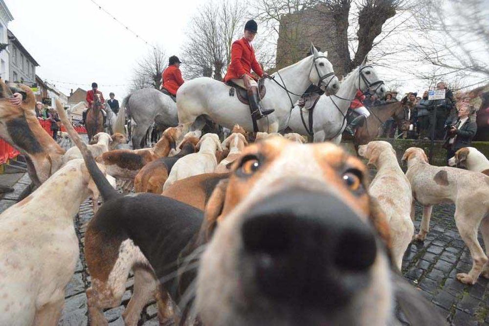 Hundreds of thousands turn out for Boxing Day meets