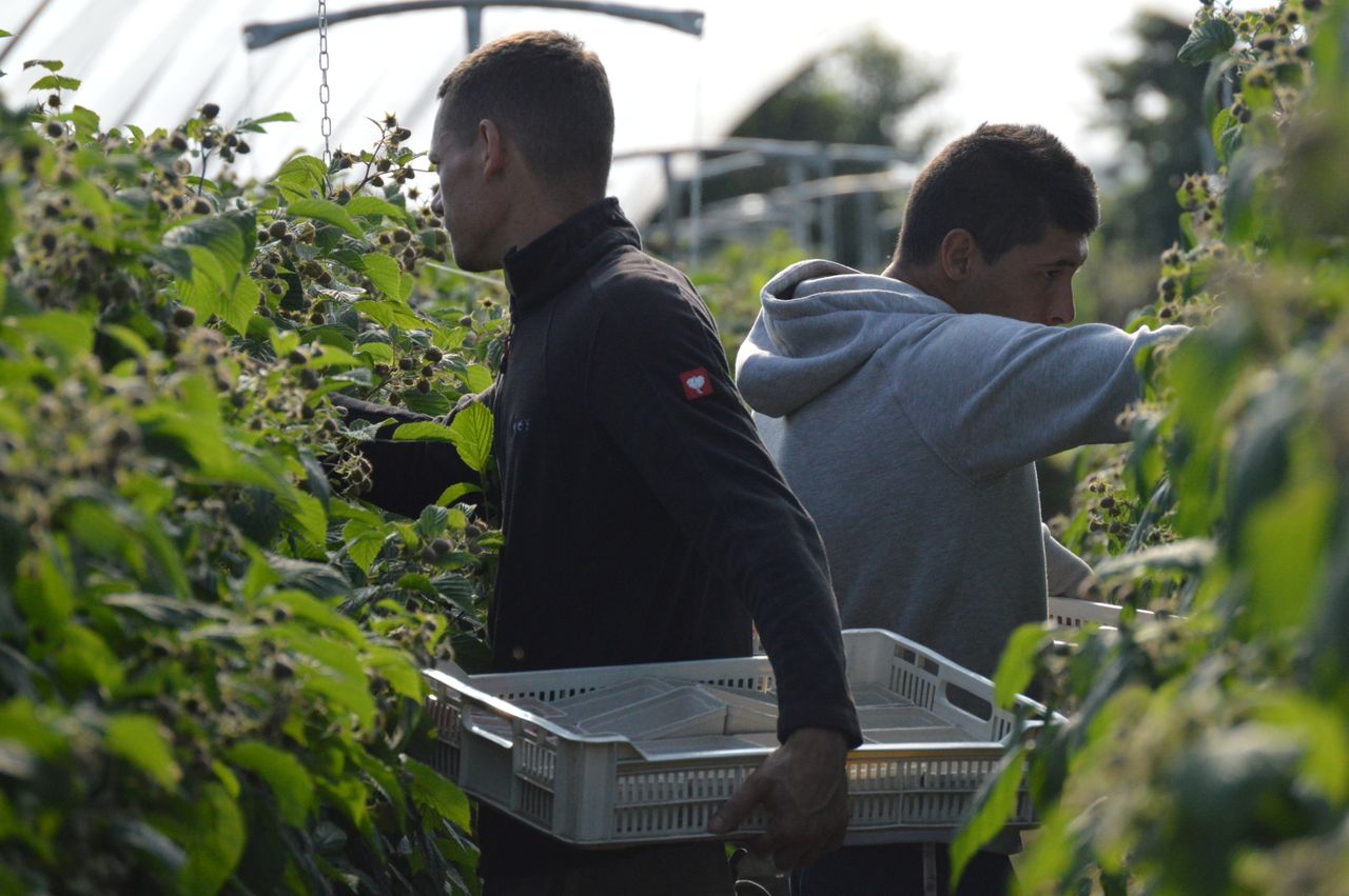 EFRA report: Gov lacks understanding of issues facing farm sector