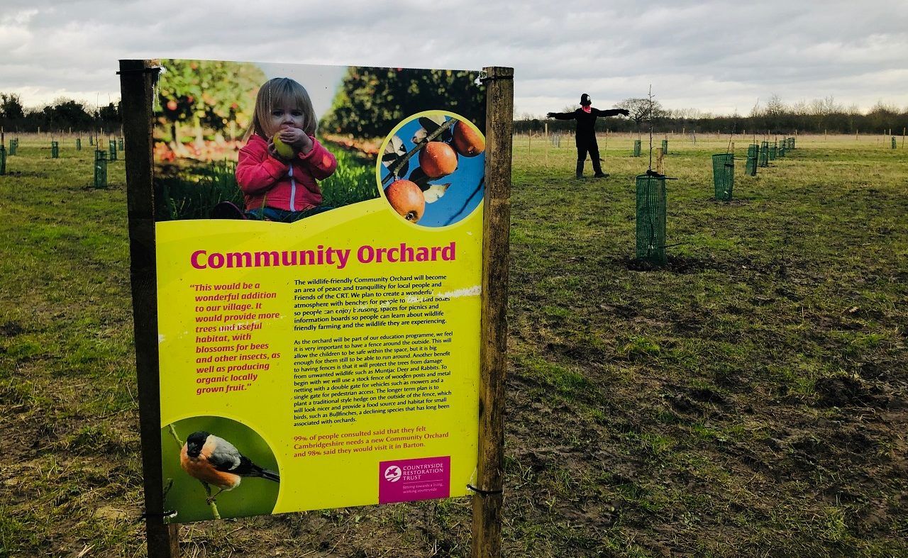 Community orchard awarded £15,000 grant from Postcode Community Trust