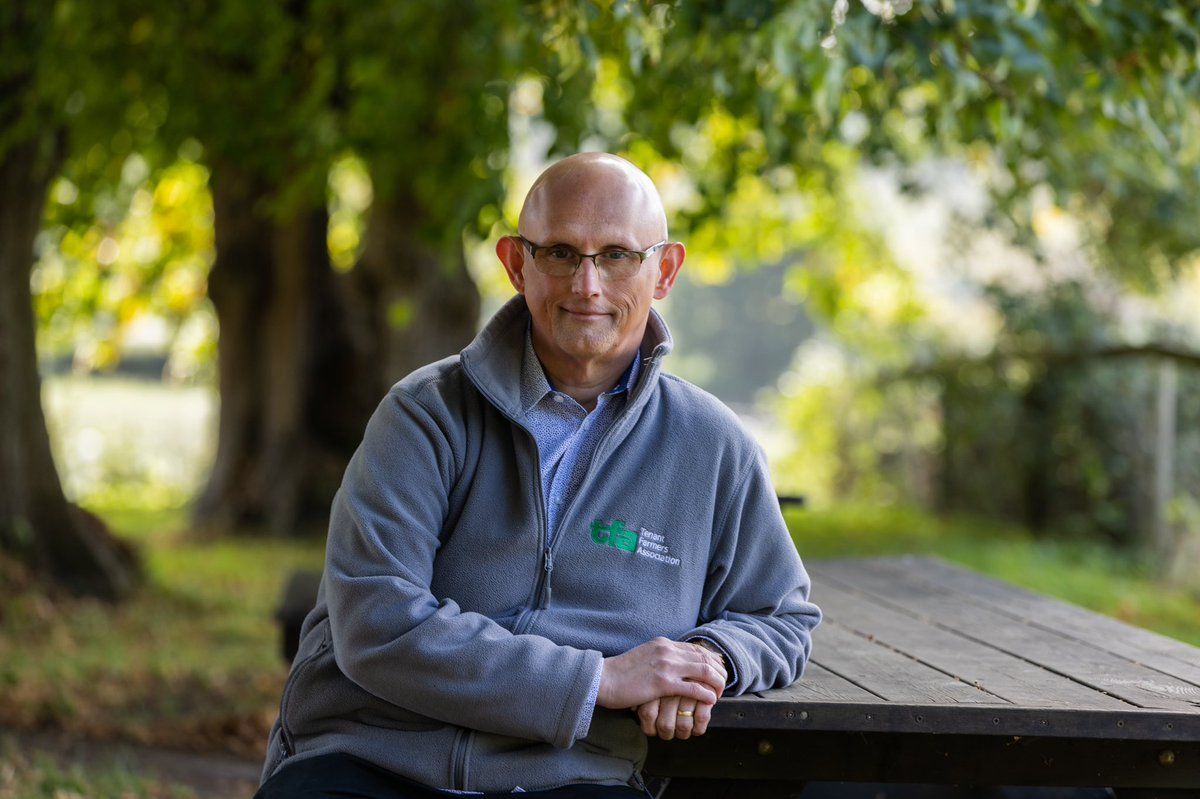 Land Use Framework 'long on aspiration' and short on execution - TFA
