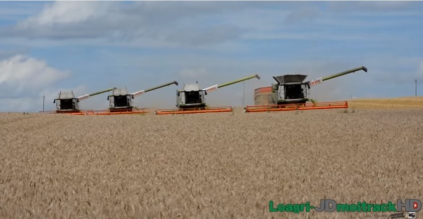 Amazing footage shows four Claas combines working together for the harvest