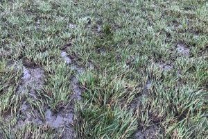 Slurry liquid on the farm