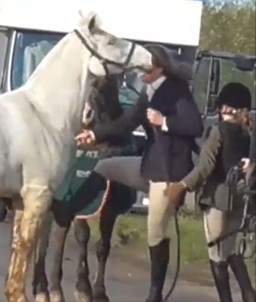 Video: Woman caught kicking and punching horse