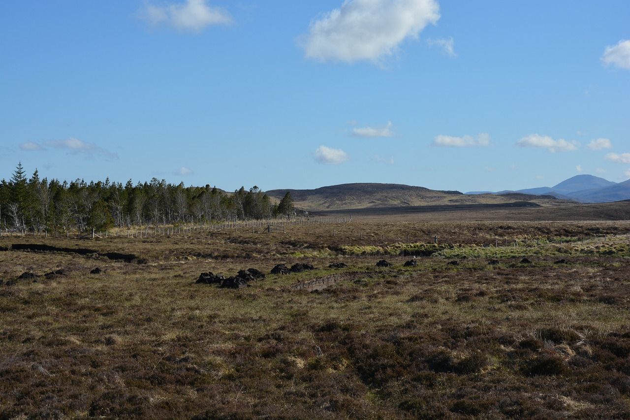 Defra: 12 peatland restoration projects to be funded by £16m