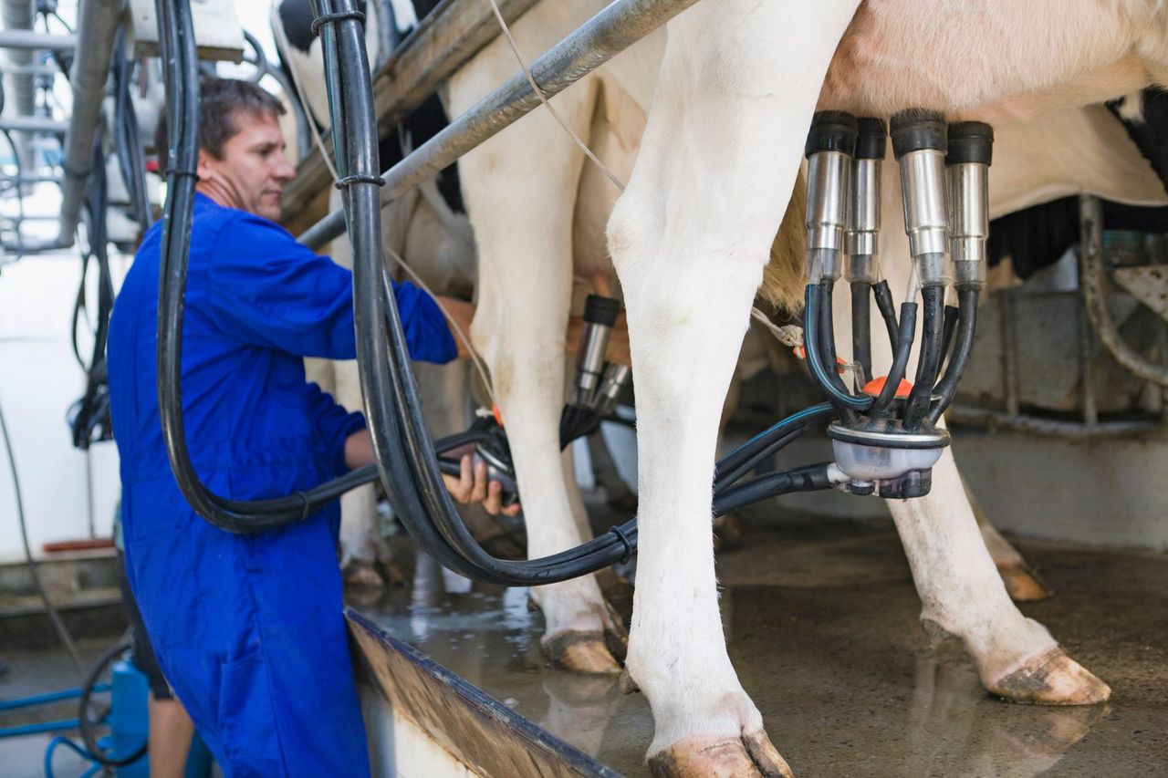 AHDB: ‘Plummeting’ dairy commodity prices ‘may have reached a floor’