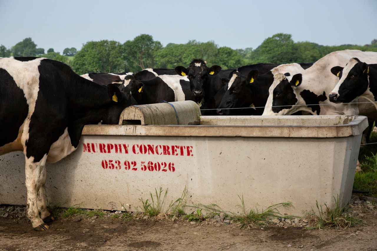 Testing the quality of your farm’s water supply