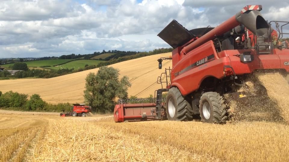 All you need to know about the global harvest