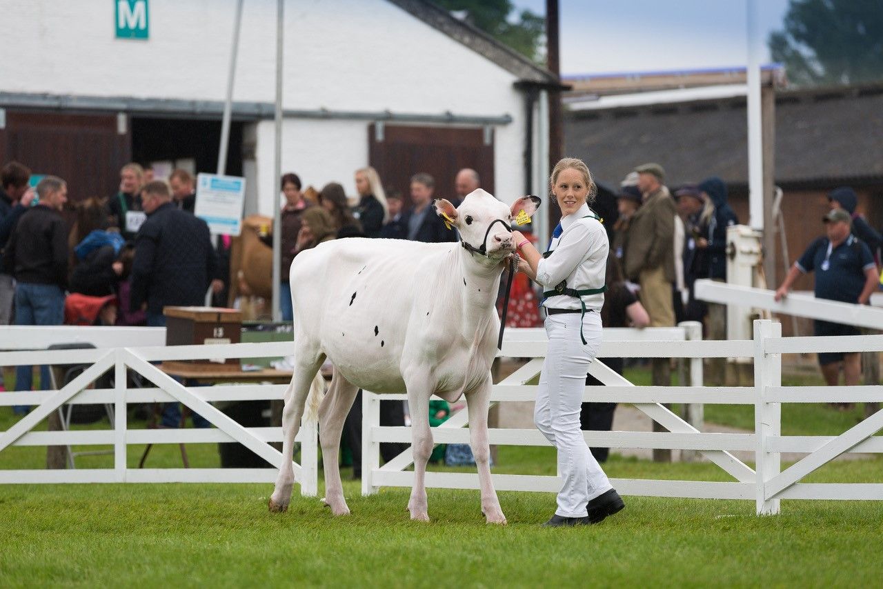 Finalists announced for 2019 Holstein UK President’s Medal