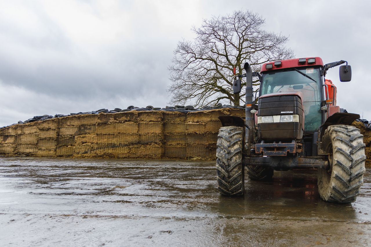 Silage samples from 2025 show 'mixed results' - ForFarmers