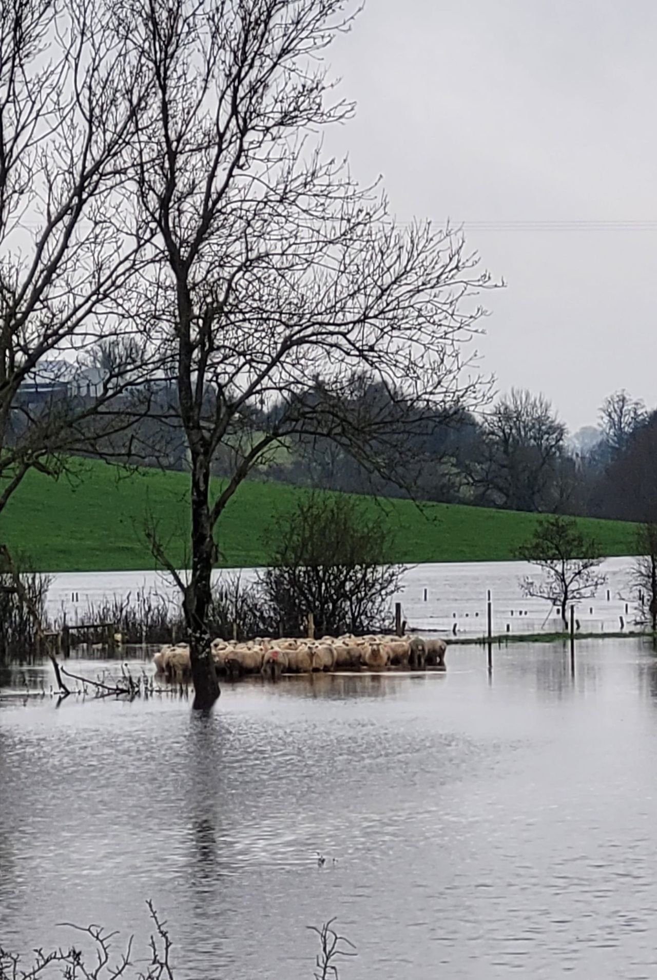 Natural flood management must be a 'core part' of flood defences