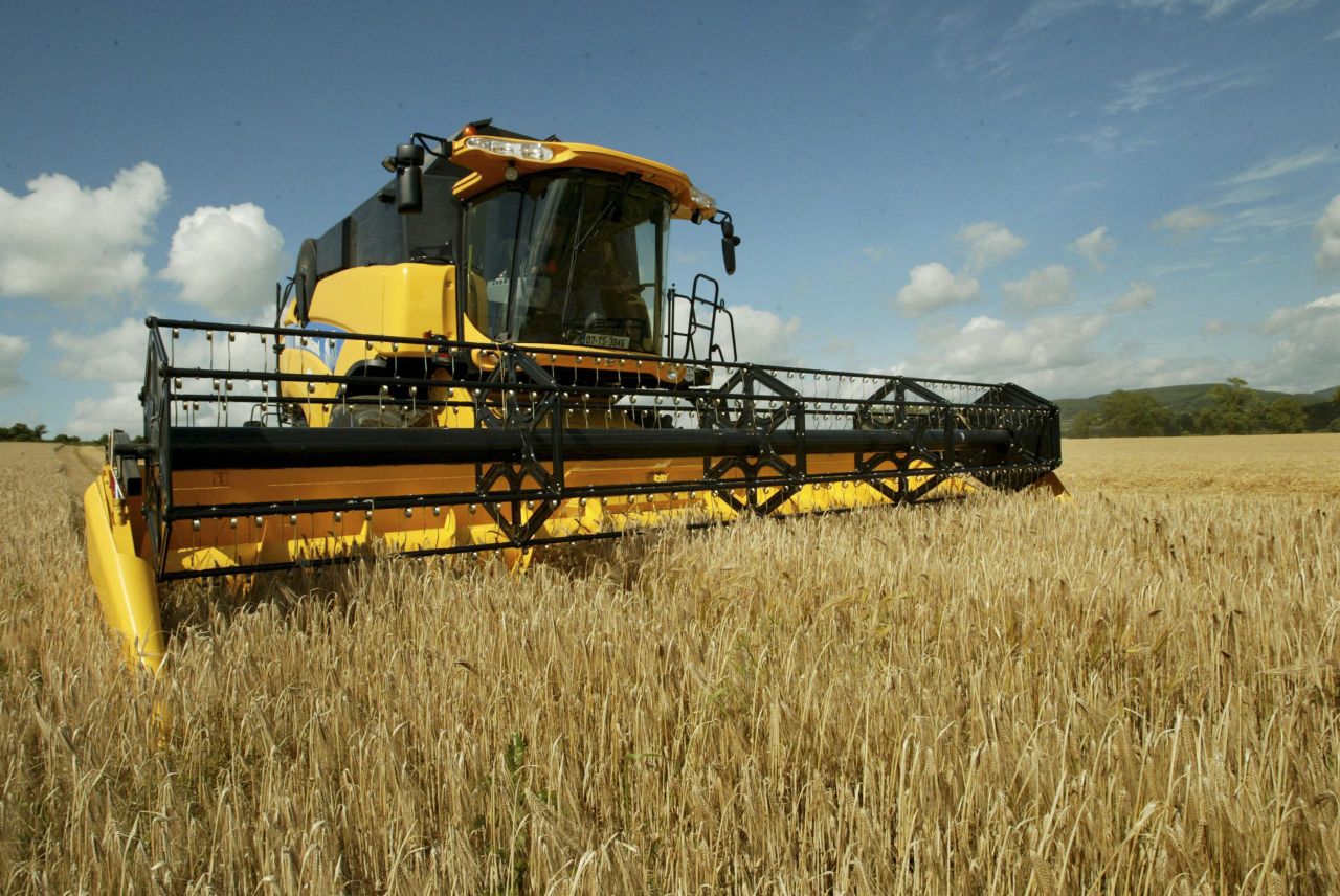 EU cereal harvest drops due to summer drought