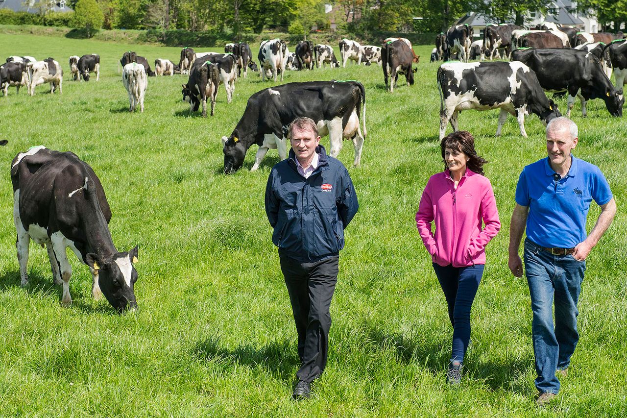 Cork man crowned overall winner of the 2014 Dairygold Milk Quality Awards