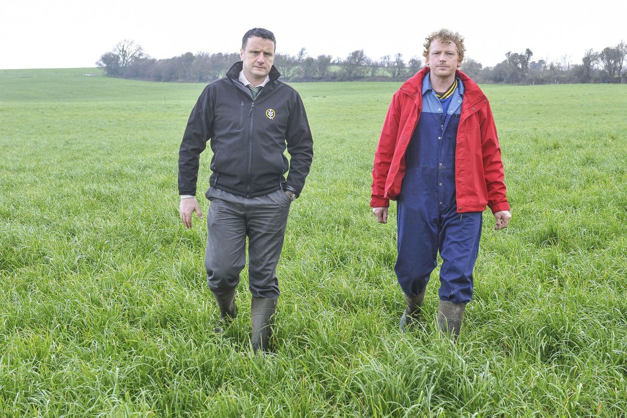 Lots of grass on Golden Vale dairy farm