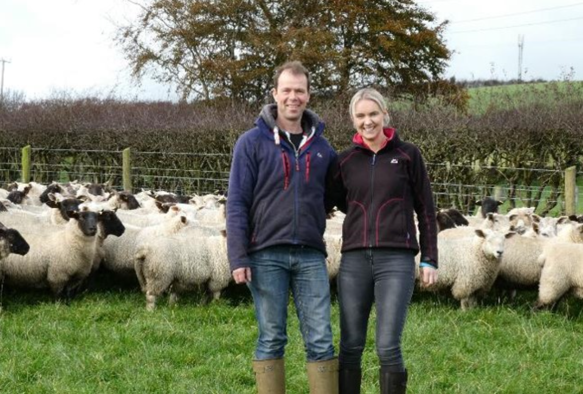Fancy becoming one of NI’s new Sheep Technology Demonstration Farms?