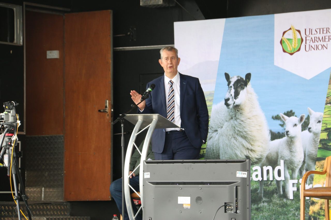 TB: Minister Poots hints at plans to propose NI badger cull in the autumn
