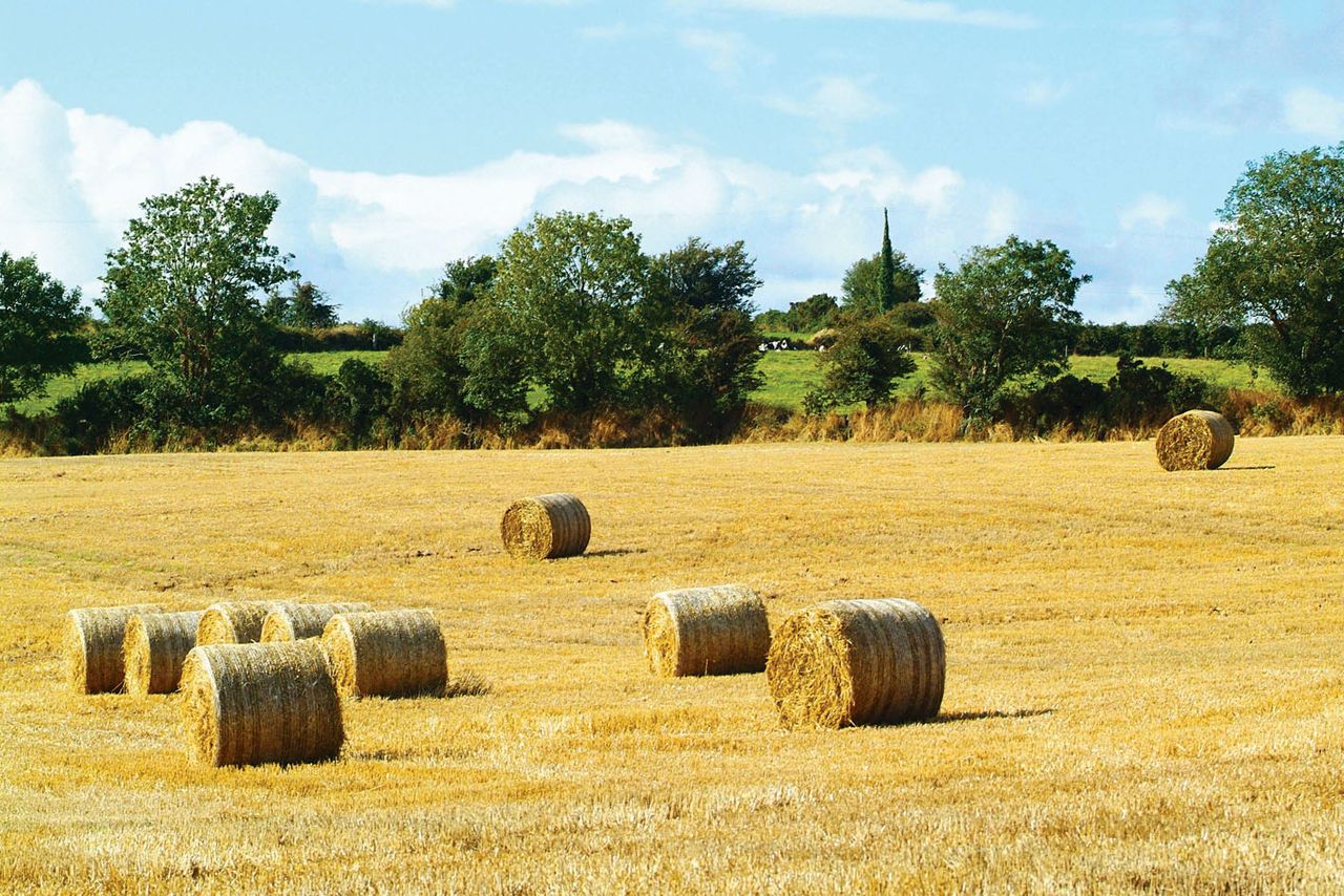 Haulage of fodder to be exempt in new height limits 