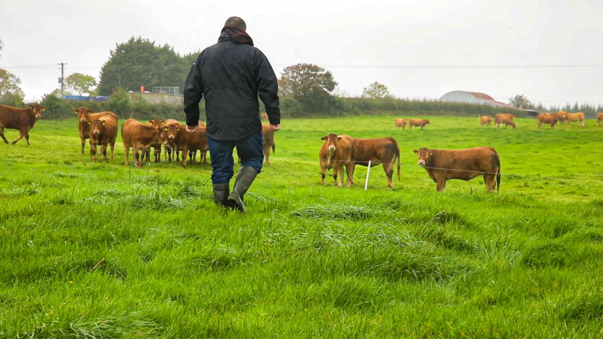More needs to be done for farmers amid 'cashflow crisis' - NFU