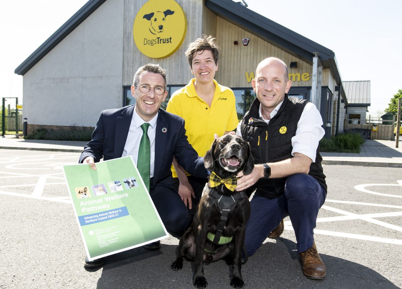 NI minister proposes ‘radical’ plan on animal welfare