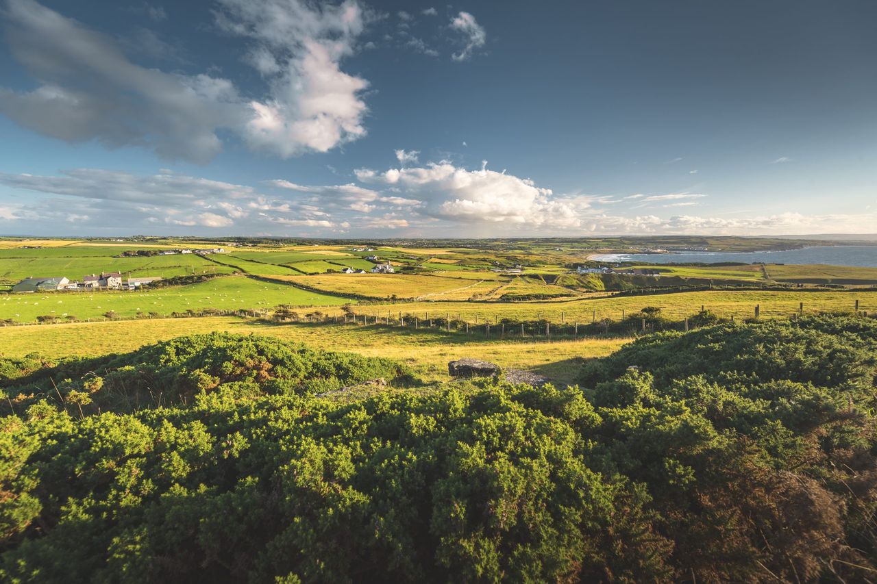 NI Rural Business Development Grant Scheme to open for applications