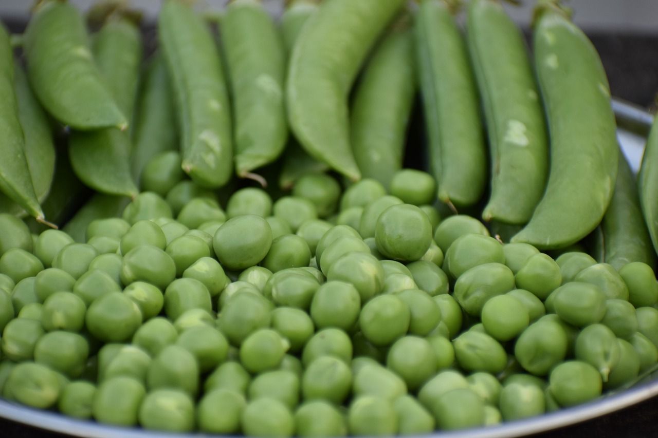 Great British Pea Week to return for a ninth year