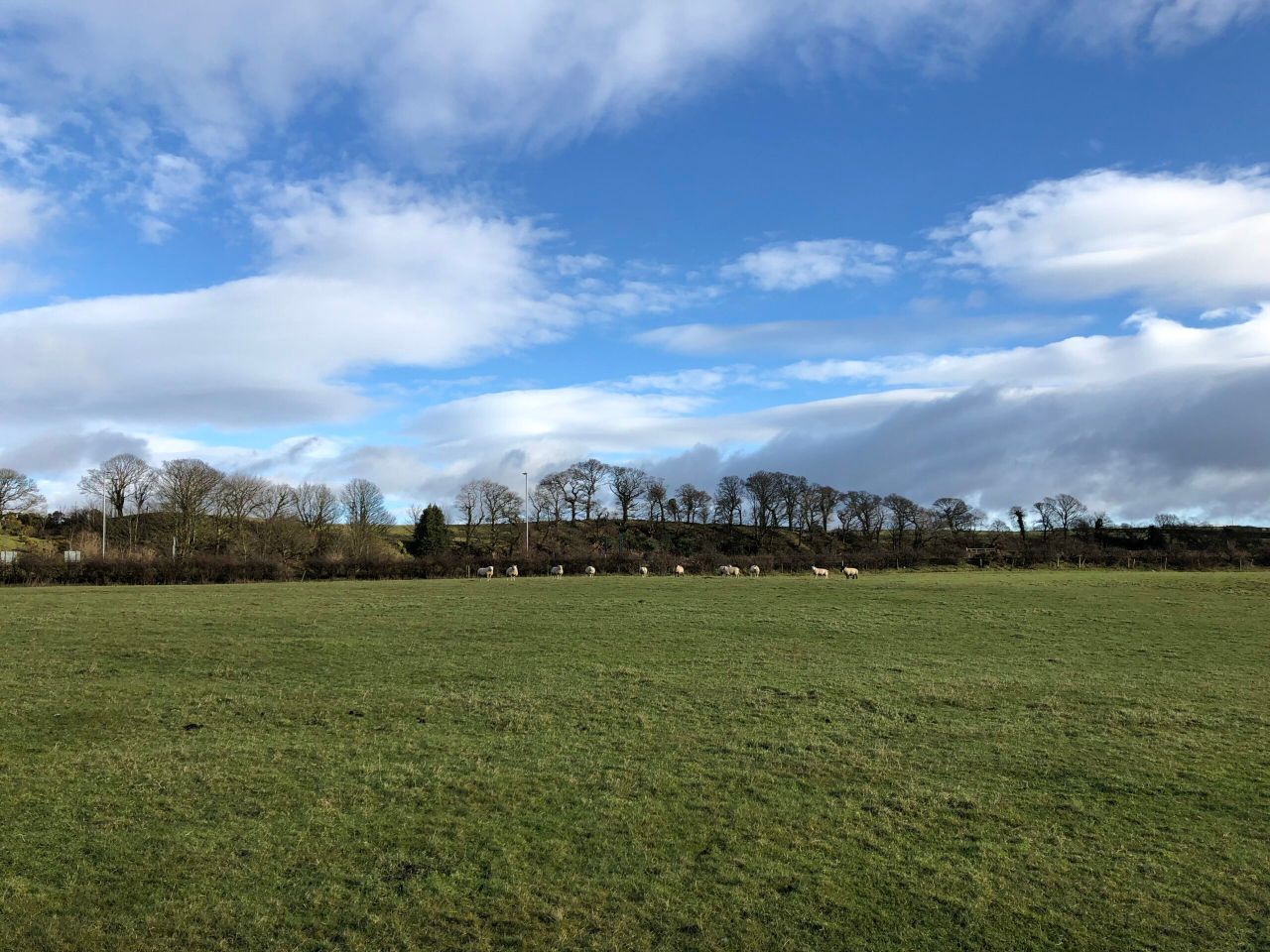 Report: How did farmland values and land supply fare in 2020 across the UK?