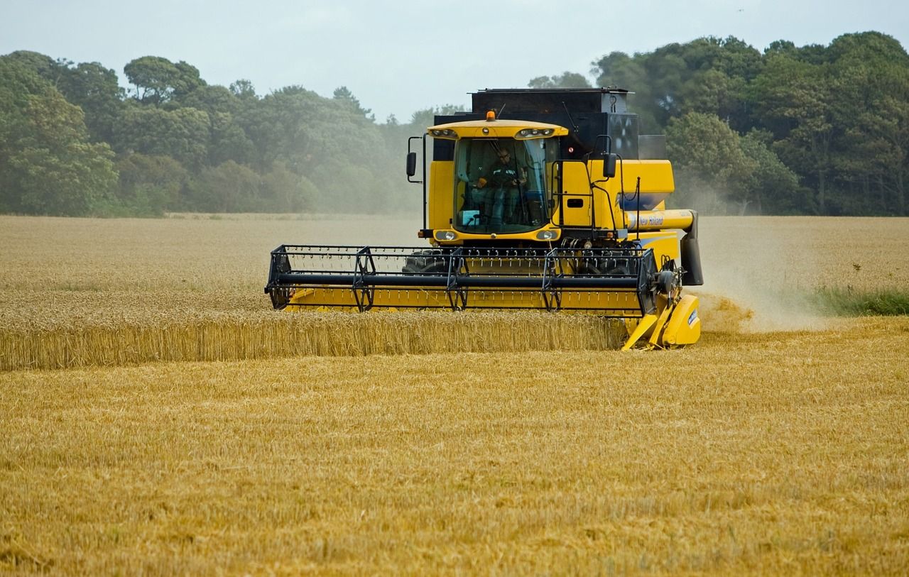 Winter wheat harvest gets underway in Co. Down