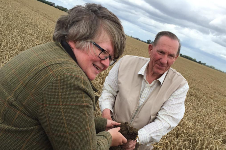 World Soil Day: A third of global soils are already degraded