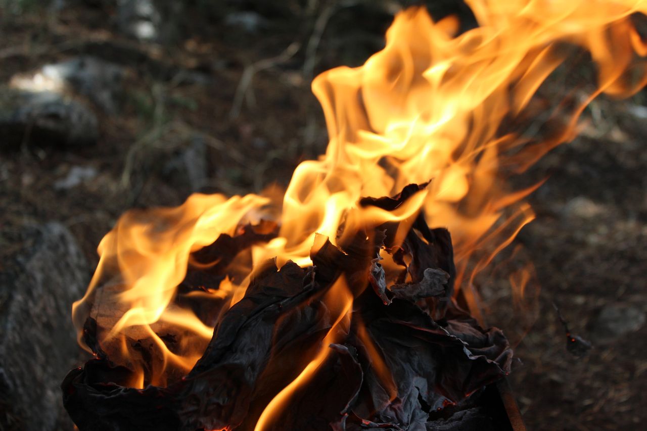 Public urged to take all steps possible to prevent wildfires ahead of lockdown easing
