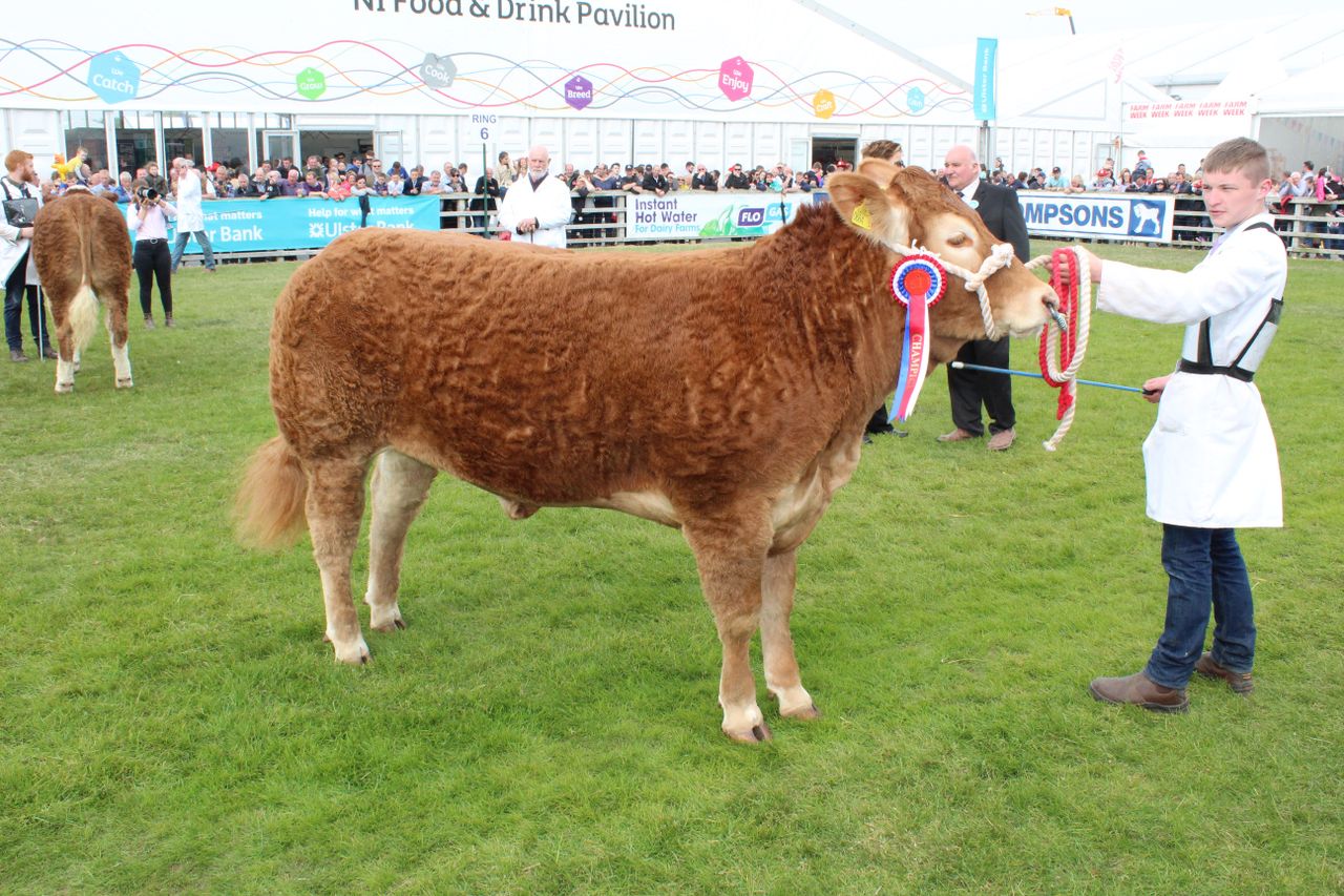 Entries open for 2021 Balmoral Show