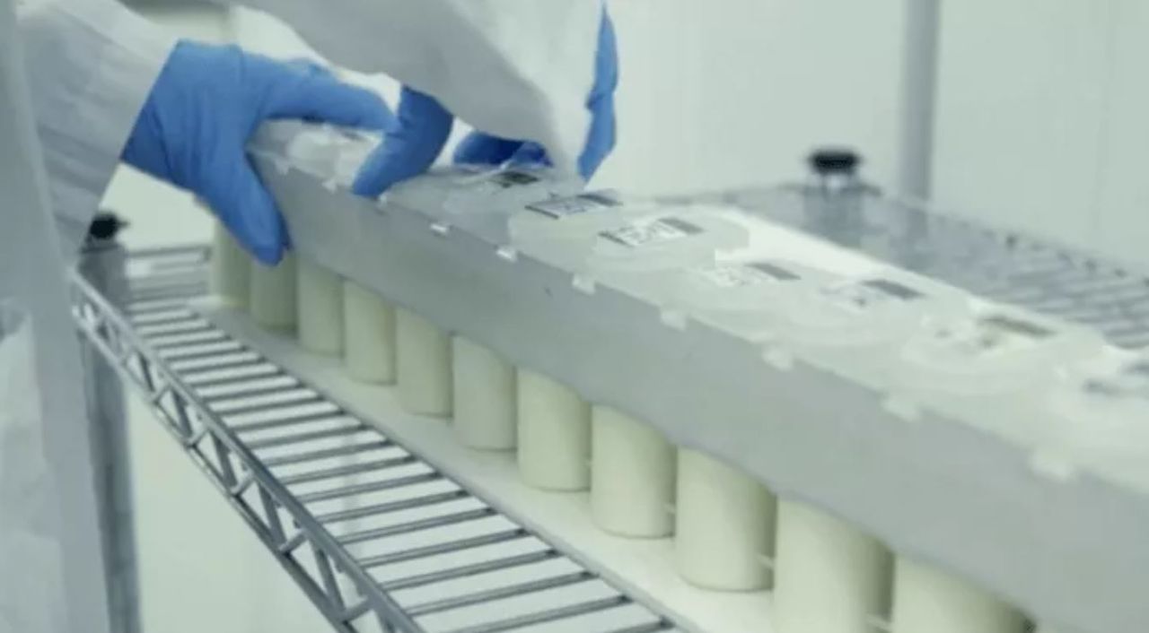 Researchers to use supercomputers to predict the TB status of dairy cows