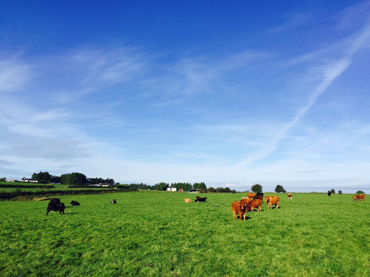 'Now is a good time to review parasite control in young stock'