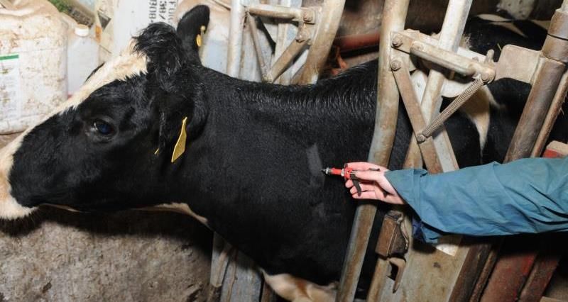£3.6 million TB Excellence Centre to open in Wales