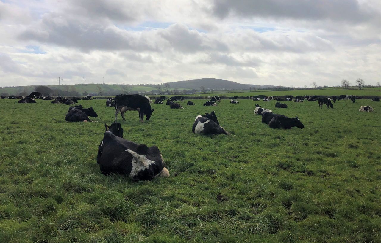 Some good weather on the horizon might present an opportunity to get out grazing