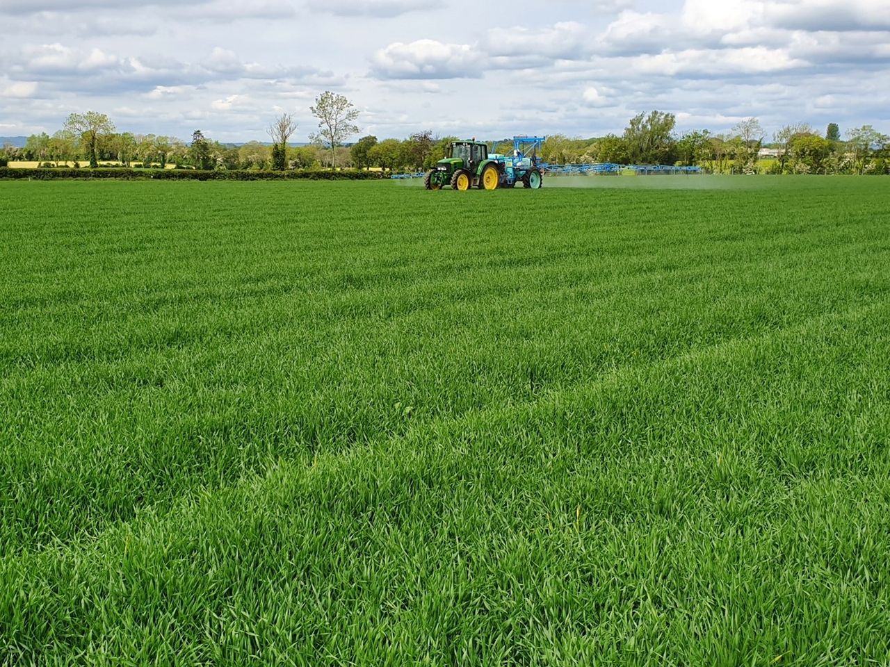 Changes to long-term crop study protocols at Rothamsted