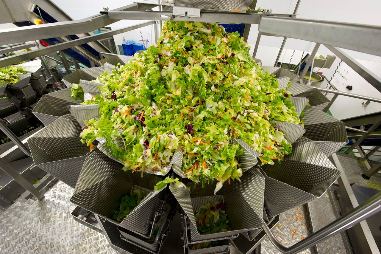 Salad giant Willowbrook secures €2.5m of additional business in ROI