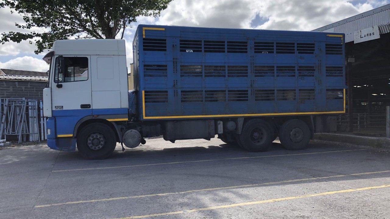 30% increase in exports of NI lambs to the ROI
