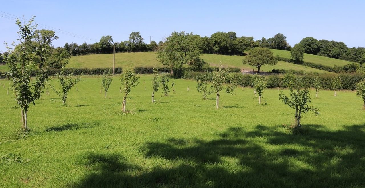 CAFRE set to host orchard management event at Loughry campus