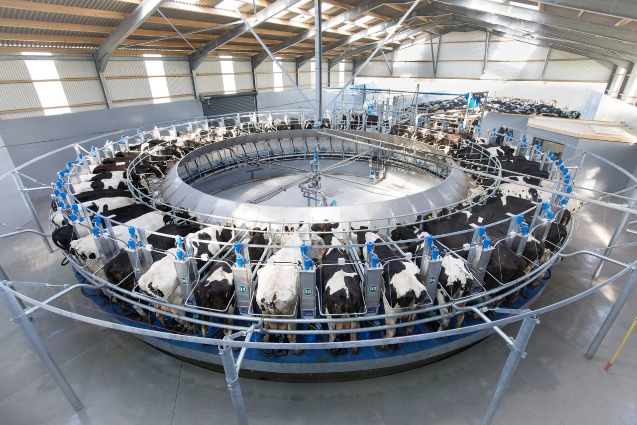 US dairy farmers are leaving the industry in their droves