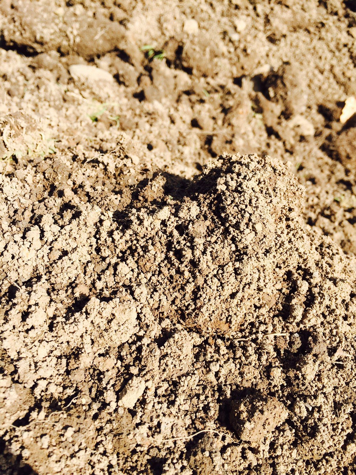 Do you condition score your earthworm populations?