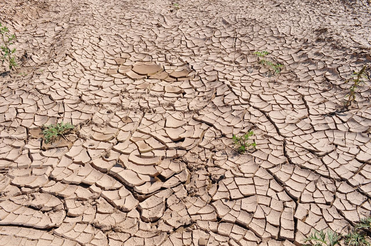 Risk of flash droughts expected to rise globally – study