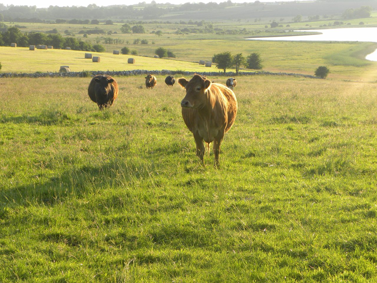 €4 billion rural development fund outlined