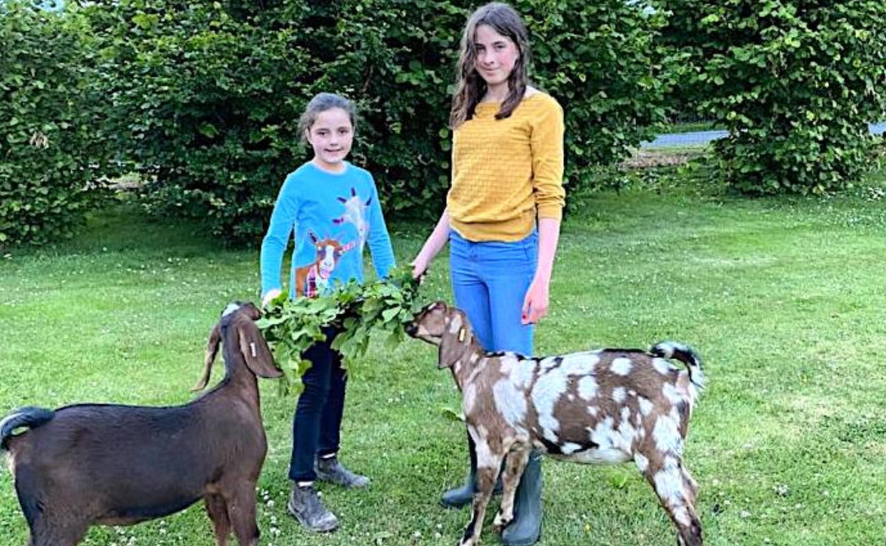 What’s planned for 2021 Virtual Farm Weekend?