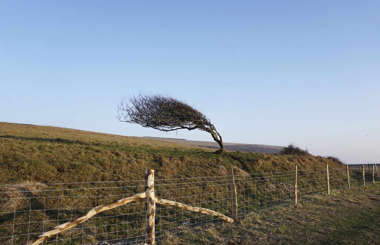 Status Yellow weather warning issued for the north