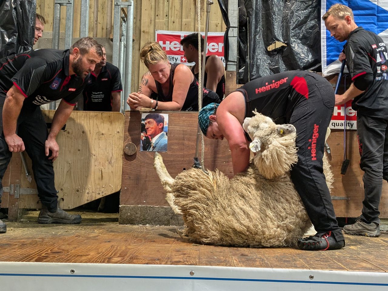 Scottish sheep shearer beats women's shearing world record