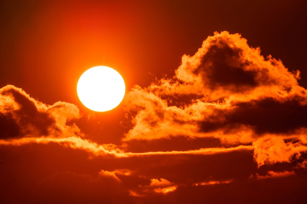 Extreme heat driving ‘significant’ farm productivity losses – report