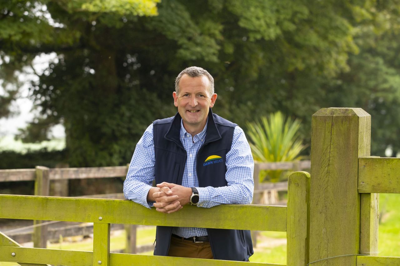 Dawn Meats seeks majority share of NZ’s largest lamb processor