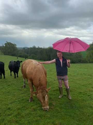 Beef and dairy farmers raising money for charity as part of Bulls Out for Cancer