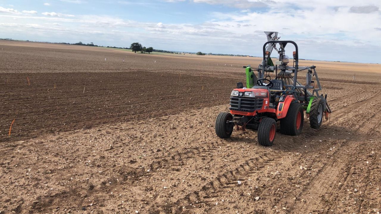 Cereals 2020: Crop plots growing well despite 'tricky and wet' conditions